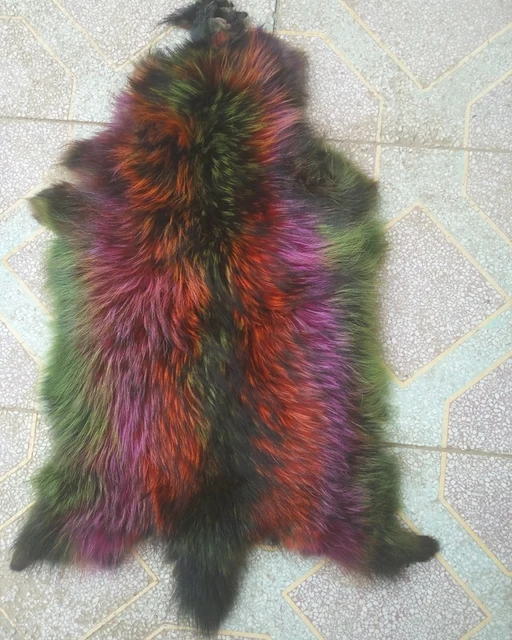 natural intriguing color raccoon skin fur pelt pelts multicolor