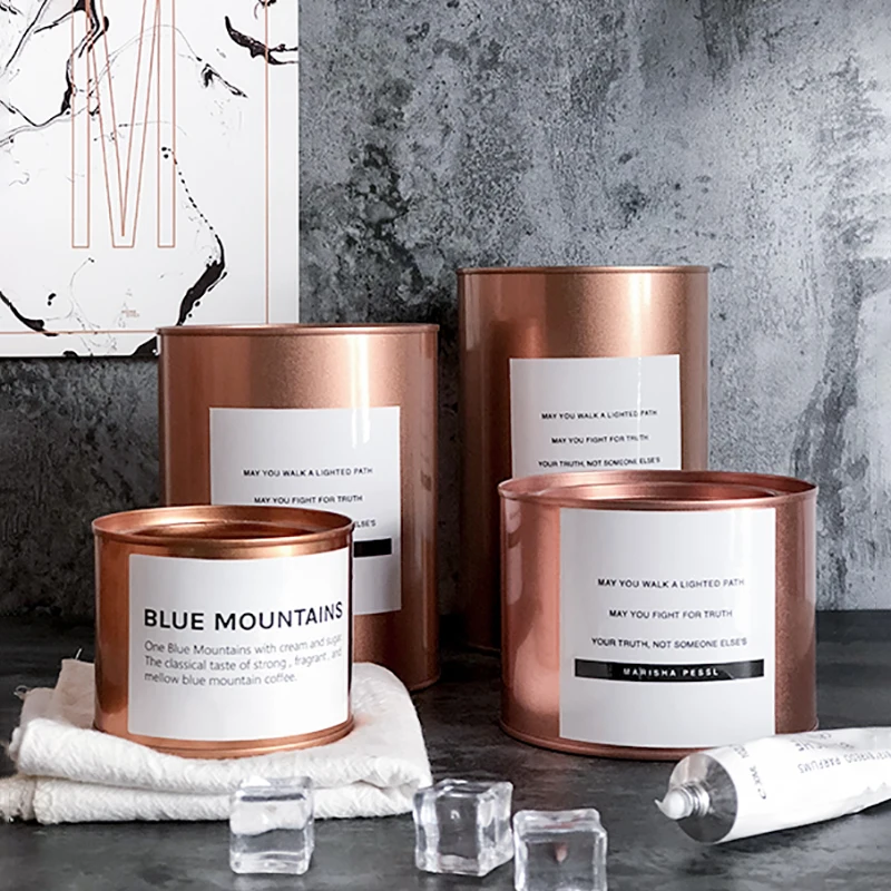

Iron Rose Gold Nordic Storage Tank Planting Pot Groceries Aromatherapy Jewelry Candy Storage Jar Home organizer Decor