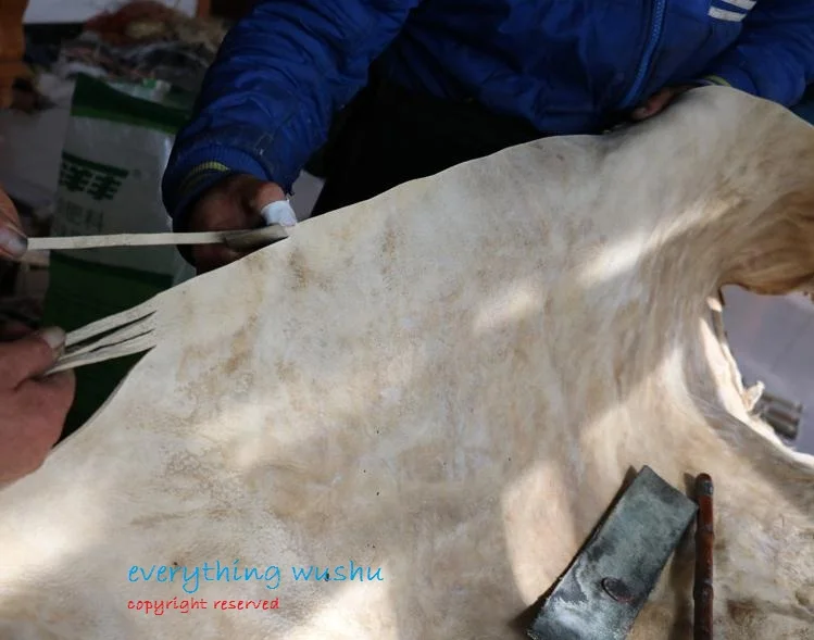 36020170702171955409