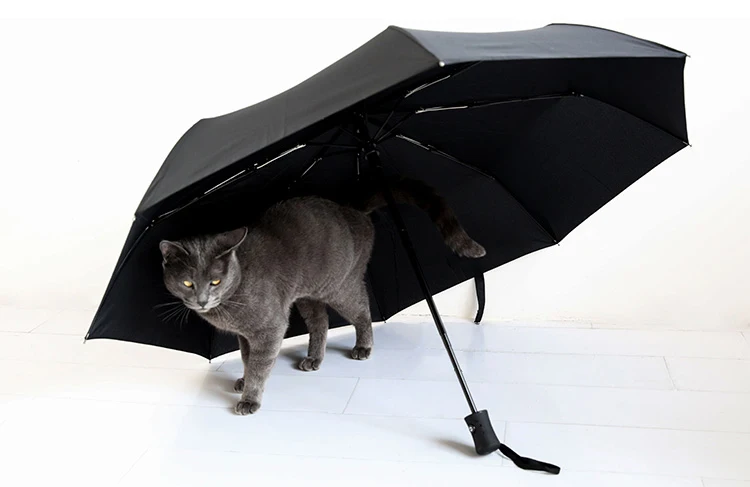Полностью автоматический мини-Зонт от дождя для женщин, сверхлегкие ветрозащитные зонты для мужчин, 3 Складные Мужские зонты для путешествий, 8 K, открытый зонтик
