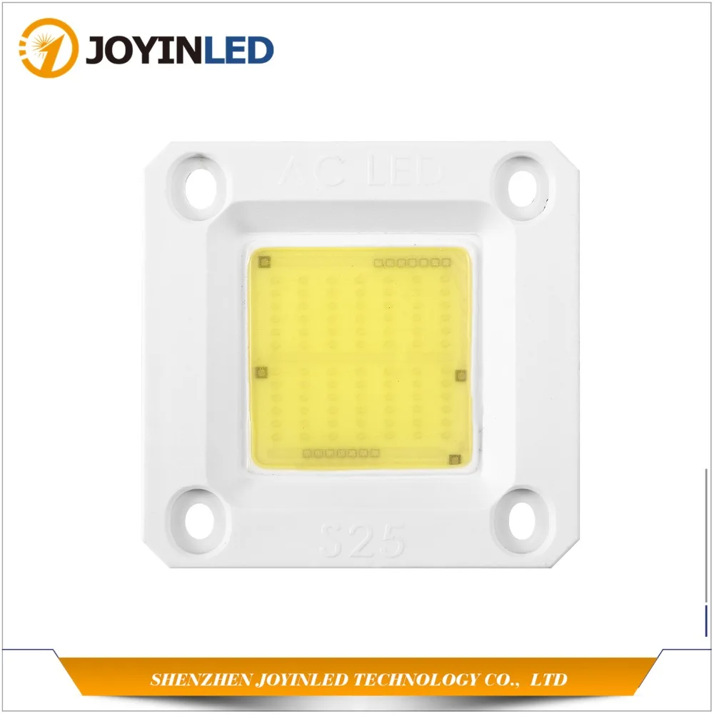 

2016 hot sale Warm white AC110V driverless cob led module 20w 30w