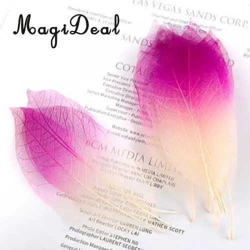 100pcs Natural Magnolia Skeleton Leaf Leaves Embellishment for DIY Crafts Purple Blue