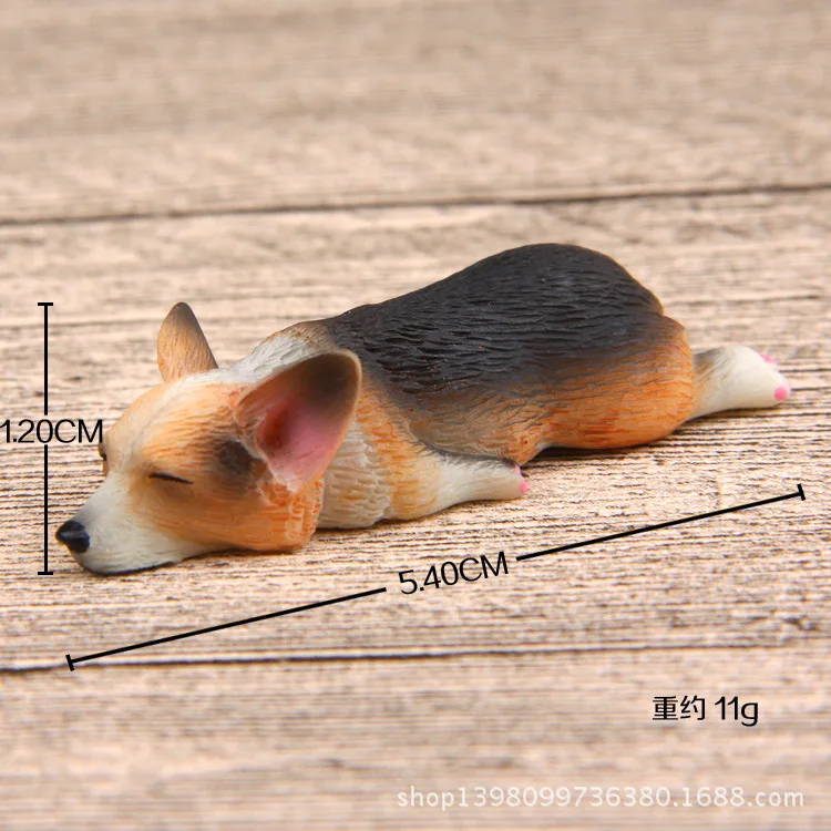 3547068664_1234778448