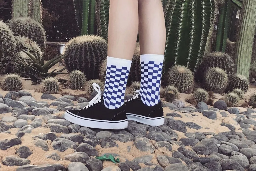 5115321636_866082455