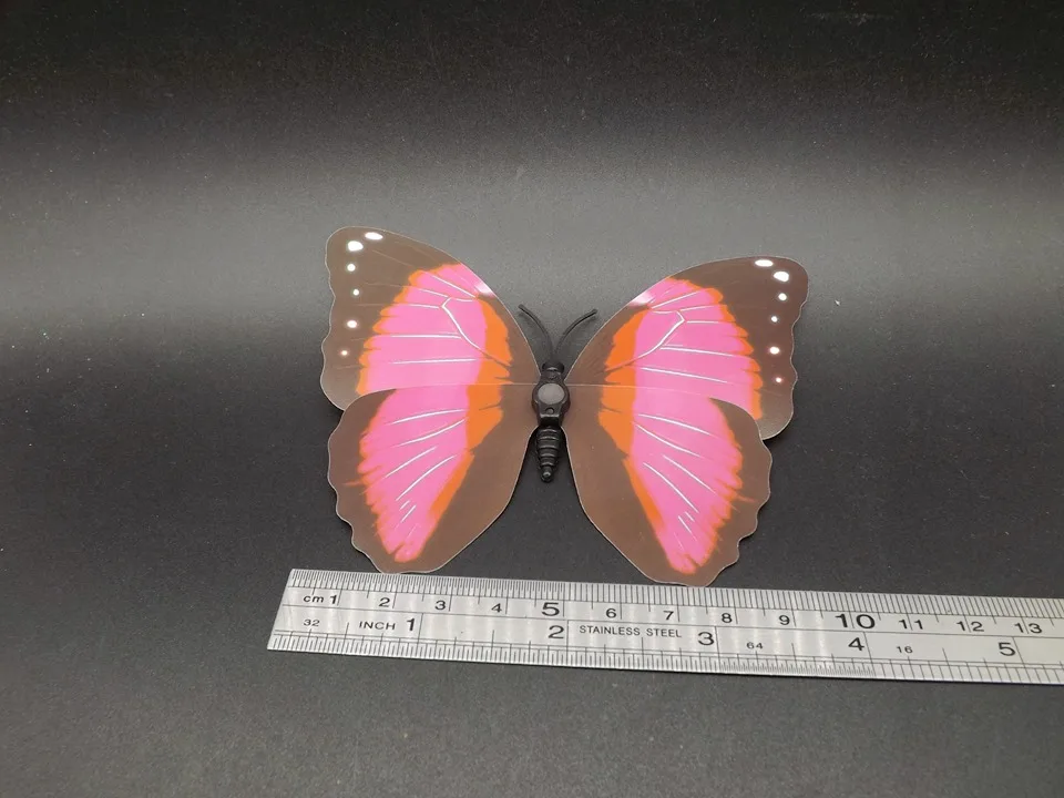 I235-Butterfly (12)