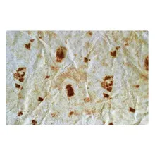 Комфорт Еда творения буррито Обёрточная бумага Одеяло квадратный Ванная комната ковер 50x80 см для ванной комнаты и туалета коврик моющийся Tapete Banheiro416