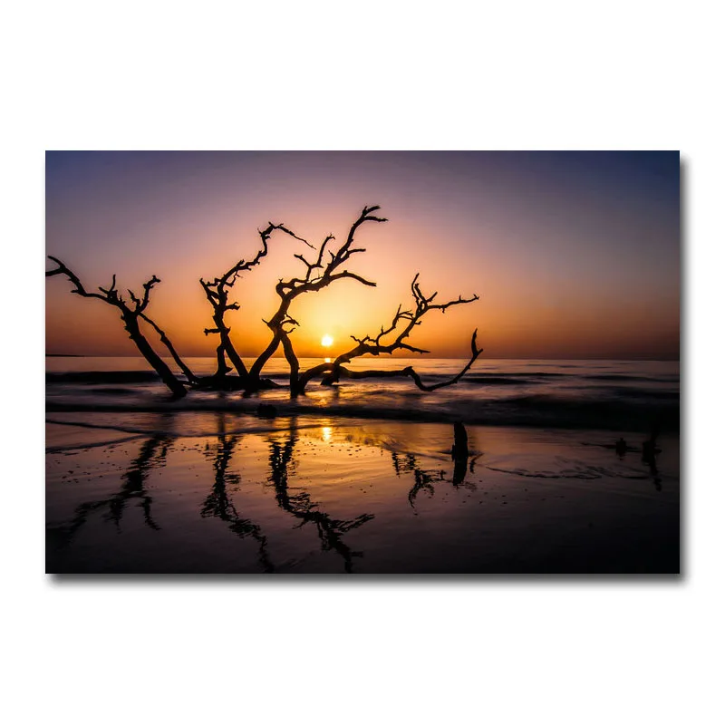Sunset The Winter Forest Nature Art Silk Poster Print 13x20 24x36 inch 