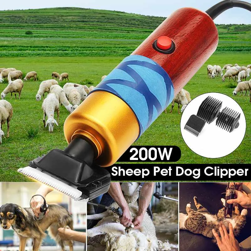 electric dog grooming shears