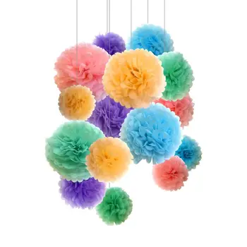 

15Pcs/Set Assorted Rainbow Colors Tissue Paper Pom Poms Flower Balls for Birthday Wedding Party Baby Shower Decorations