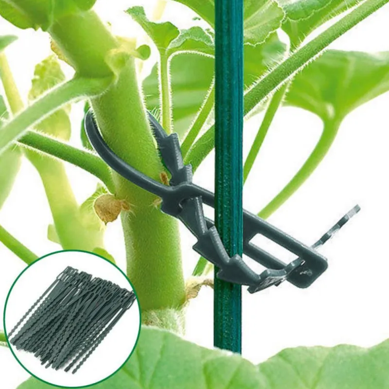 Прямая поставка, 50 шт./лот, регулируемые пластиковые кабельные стяжки для растений, многоразовые кабельные стяжки для садового дерева, скалолазания
