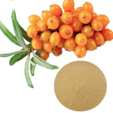 Чистый натуральный порошок облепихи, фруктовый порошок облепихи