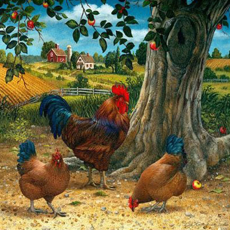 Animal Hen Rooster 5d diy Diamond Painting Full Rhinestone Embroidery