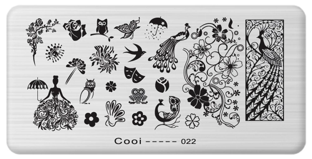 Pinpai Nail Stamping Plates Flower Geometric Heart Nature Series Nail Template Stamp Image DIY Nail Designs Manicure Stamp Plate