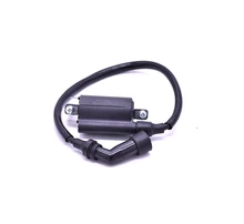 Бесплатная доставка GS125 GN125 EN125 универсальная электрическая катушка зажигания напряжение для Suzuki 125cc EN GN GS 125 запасные части Бесплатная доставка GS125 GN125 EN125 универсальная электрическая катушка зажигания напряжение для Suzuki 125cc EN GN GS 125 запасные части