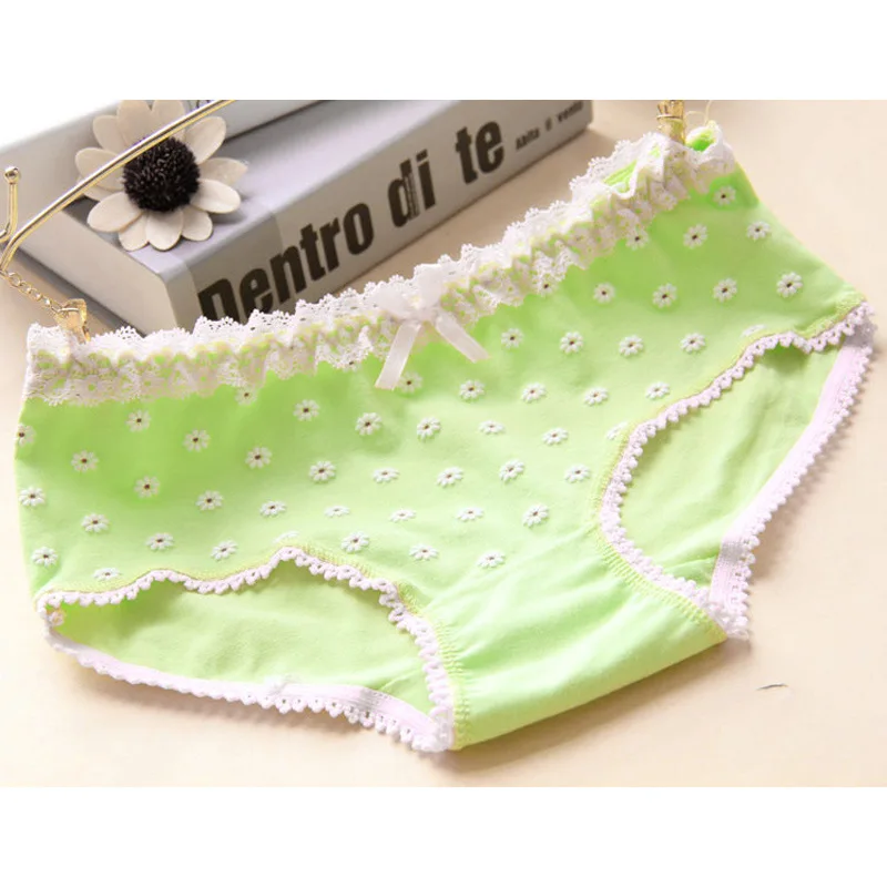 Women Panties Sexy Cotton Underwear Girls Cute Printed Intimates VS Love Pink Briefs Lady Breathable Underpants Lace Decoreation (4)