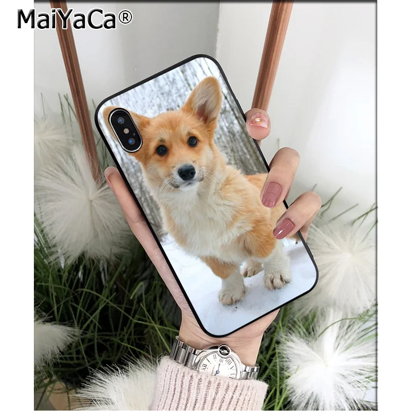 Anime Corgi dog