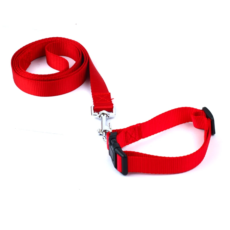 puppy collar and lead