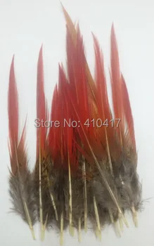 

Free Shipping Wholesale 300pcs/lot Natural Red Pheasant Feathers 4-6inches Plumes Hot Sale