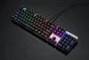 Mouse & Keyboards