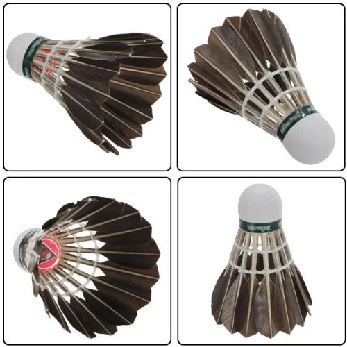 12x formación ganso negro Plumas birdies Bádminton bolas
