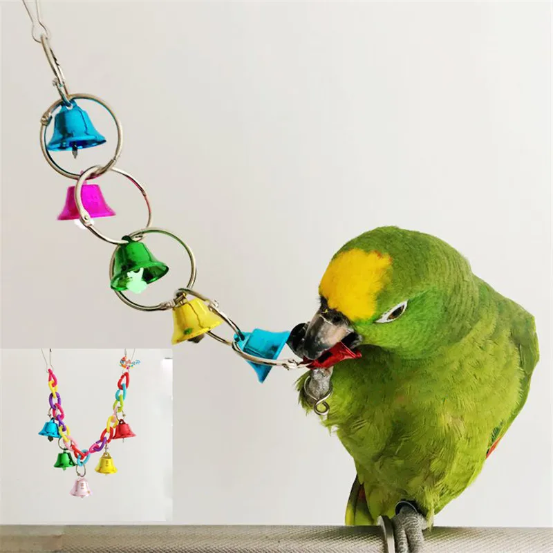 parrot toys