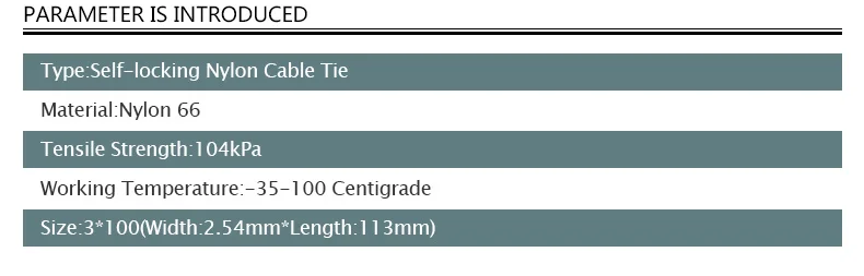 100 шт./лот 3*100 мм метка этикетки кабельные стяжки самоблокирующиеся Нейлоновые проводки аксессуары белый(2,5 мм* 100 мм