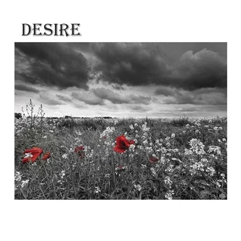 

EASHRU Diamond Painting Cross Stitch Dark Clouds Flower DIY Diamond Embroidery Needlework Full Square Mosaic Home Decor PT2738