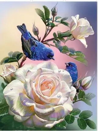 QQ20180426141046