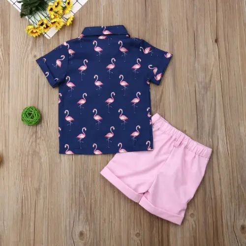 Pudcoco/ г. летняя одежда для маленьких мальчиков, комплекты одежды Пляжная футболка с изображением фламинго Топ и шортики, комплект