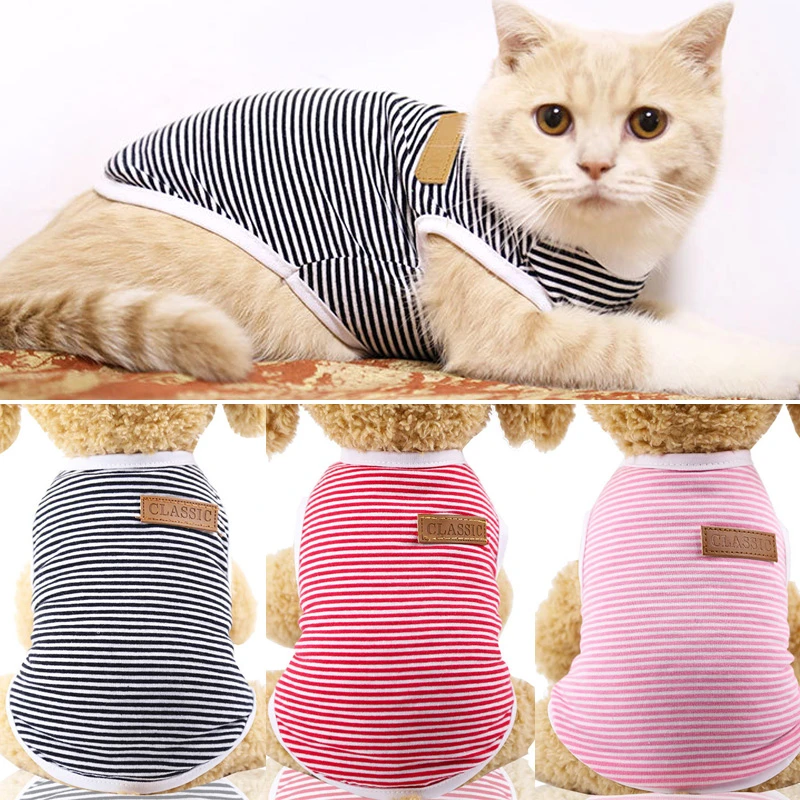 cat clothes aliexpress