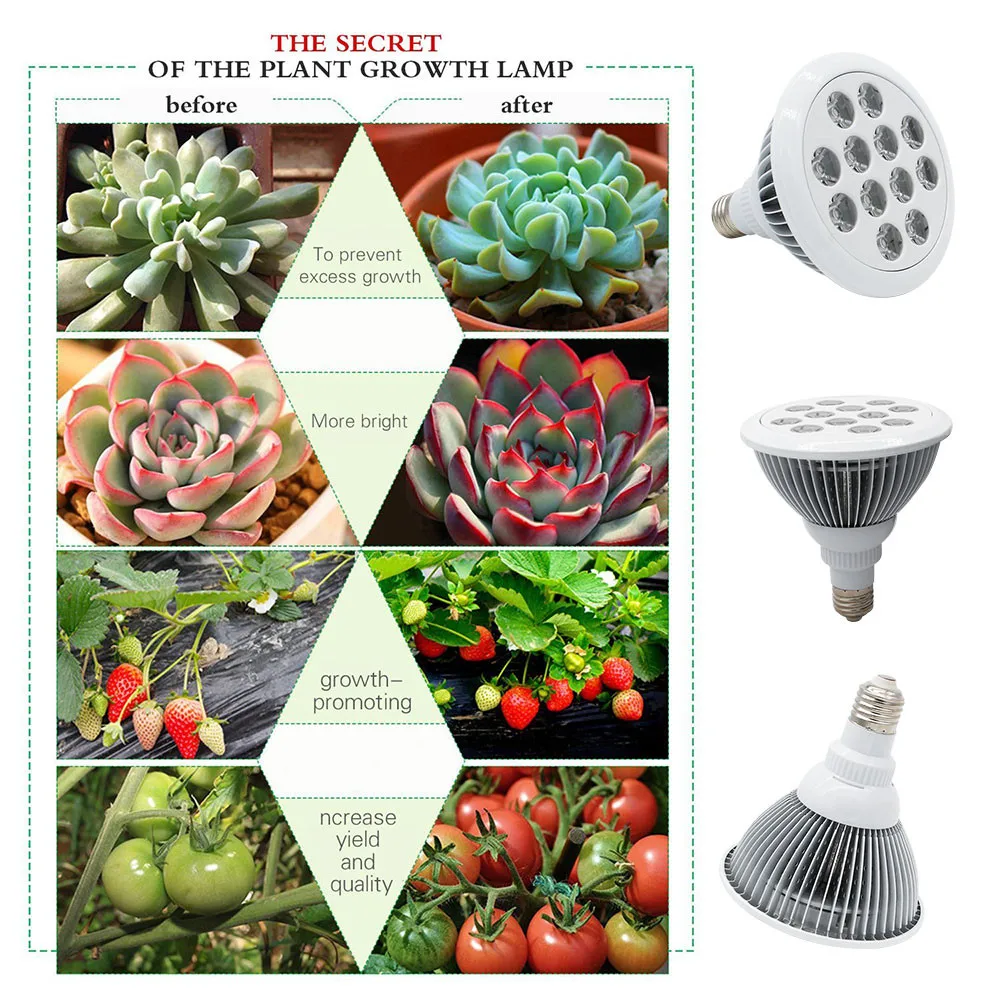 led grow light bulb  (6)