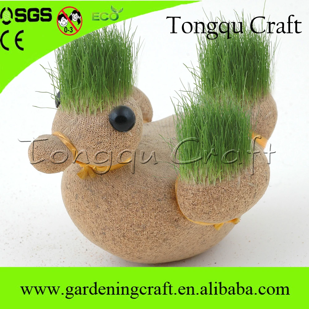 GRASSHEAD for kids handmade/Grow Your Own Grasshead/ Birthday Gift 