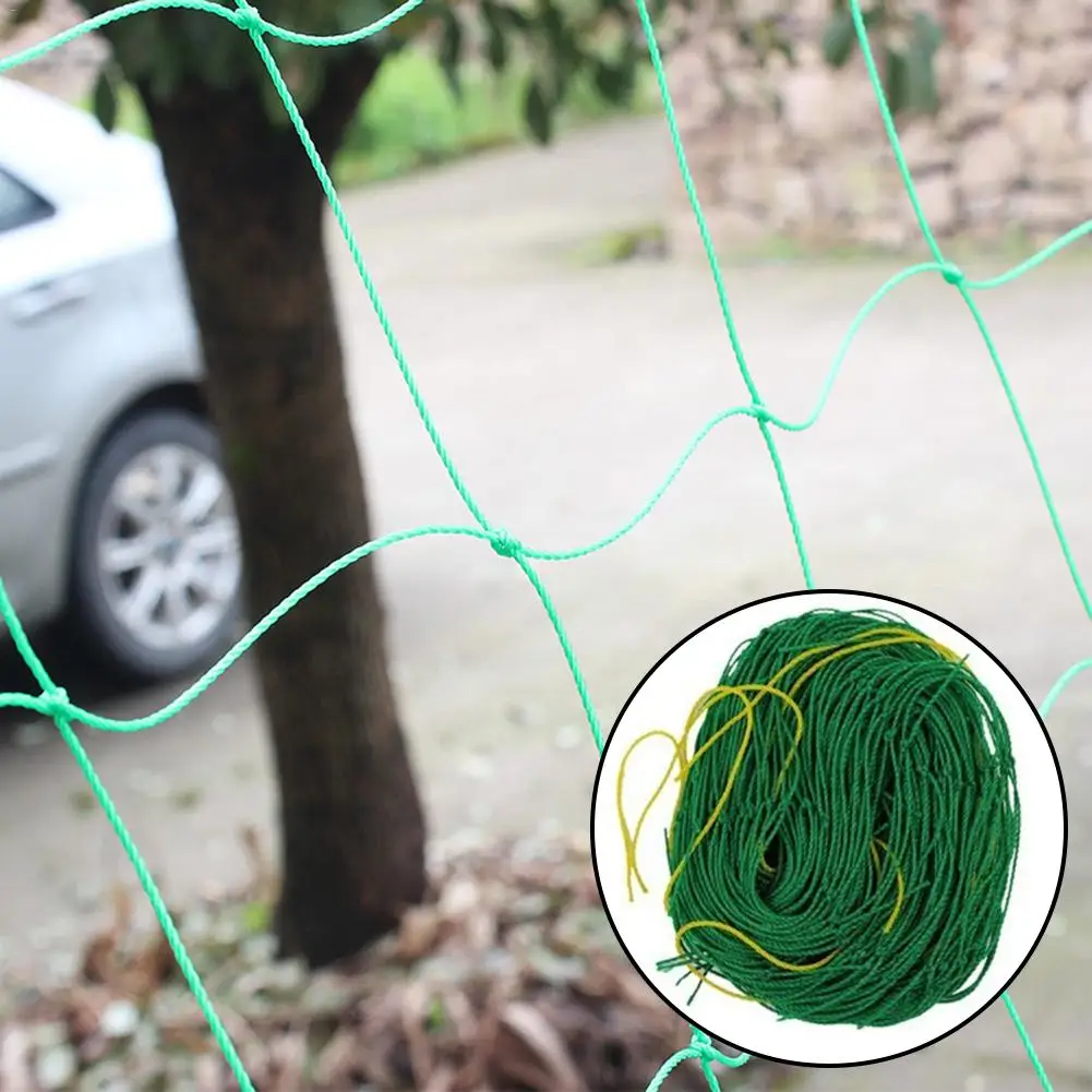 Environmentally Nylon Plant Net Melon Fruit Morning Glory Vine Net Plant Climbing Flower Vine Cucumber Trellis Netting