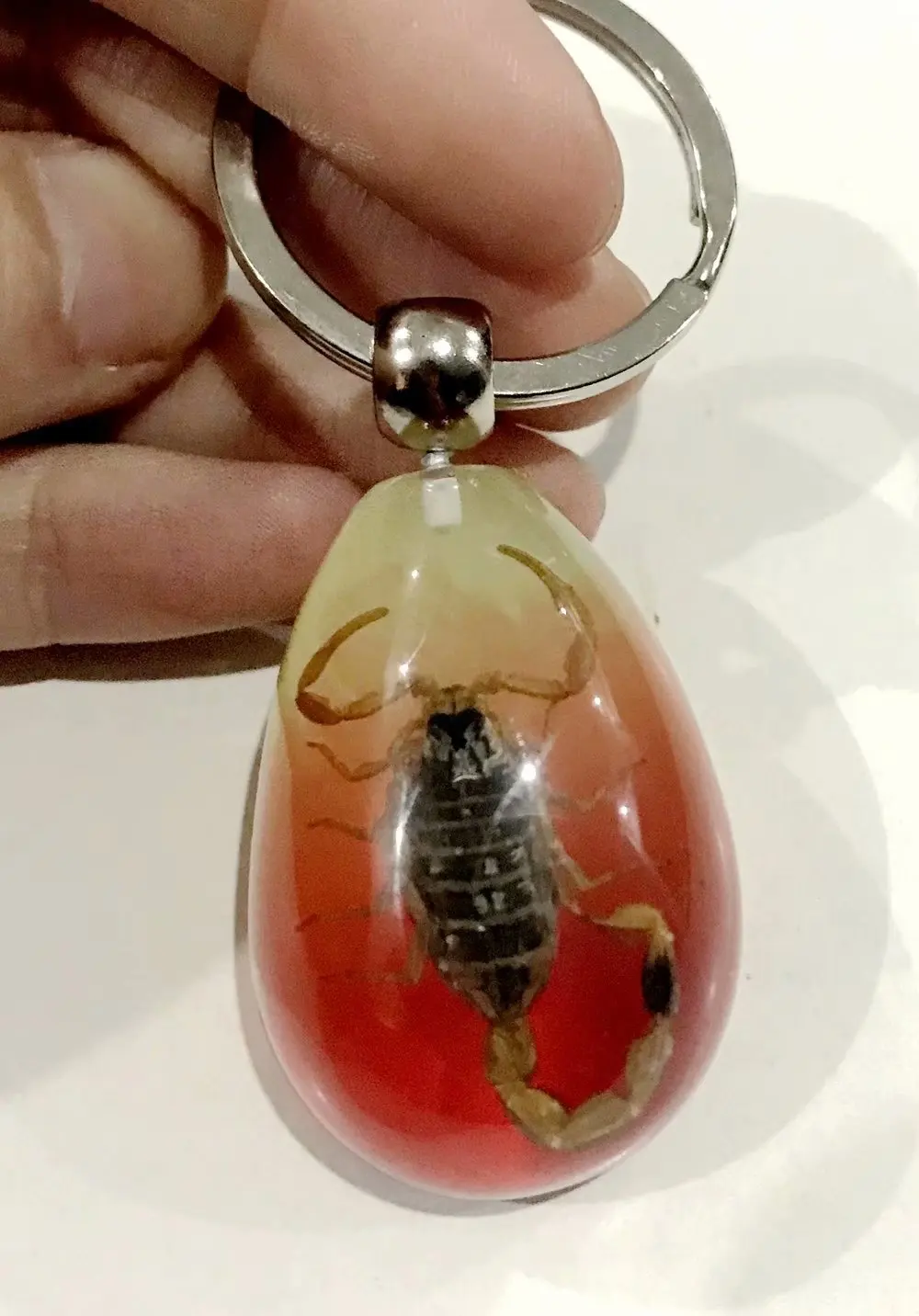 

FREE SHIPPING YQTDMY vogue double fashion color gold scorpion king charming keychain