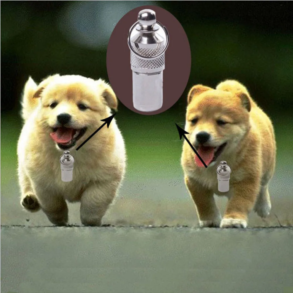 Anti Lost Pet ID Name Address Label Tag Storage Barrel Tube Silver Pet
