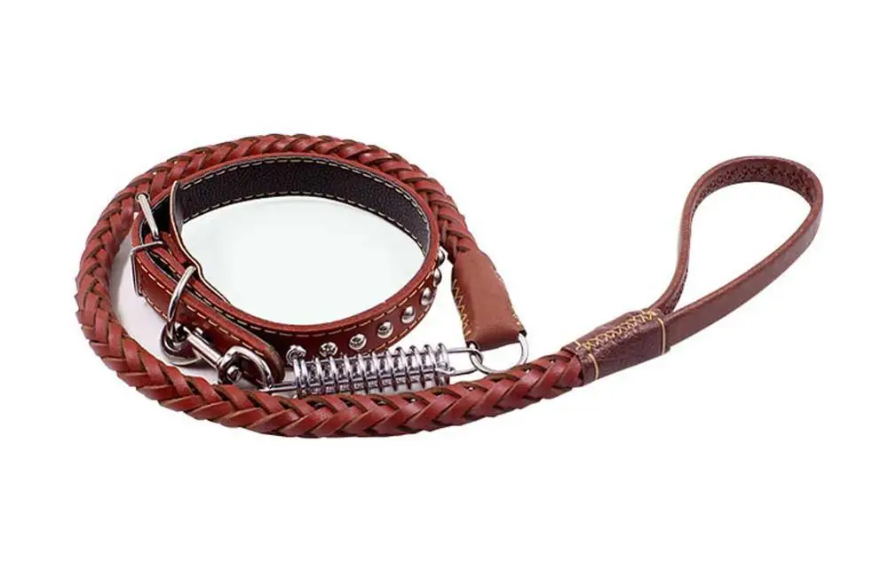 15 Collars, Harnesses & Leads