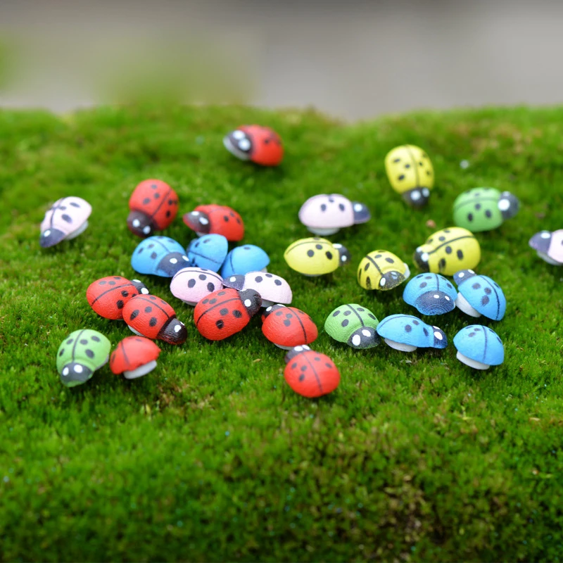 10000pcs Colorful Mini Home Decor Kid Toys Diy Ladybird Ladybug 10000pcs Colorful Mini Home Decor Kid