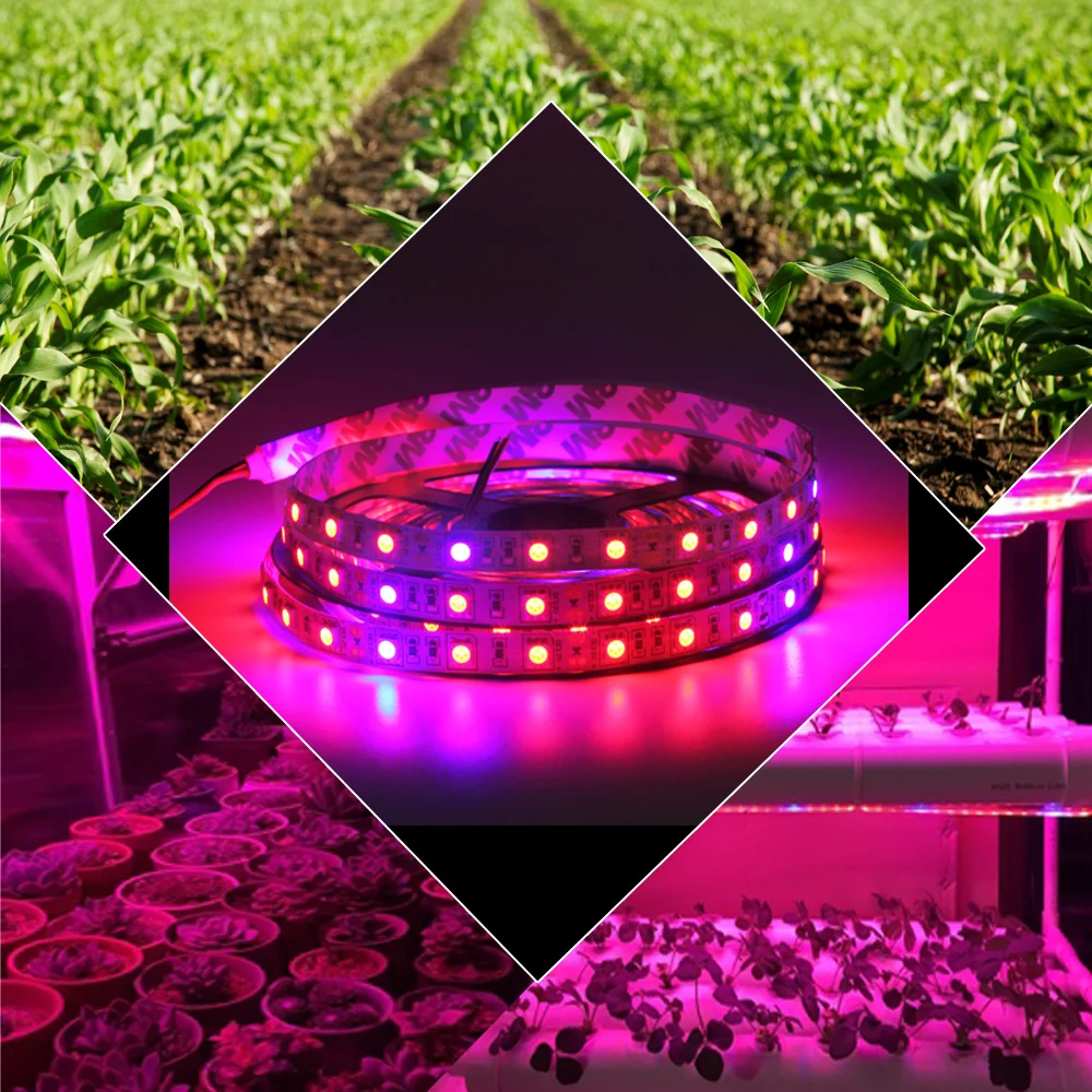 1 комплект 5 м светодиодный Grow Light ленты 5050 60 Светодиодный s/M без Водонепроницаемый красный: синий 3:1/4:1/5:1 DC12 1A по стандартам ЕС/США штекер адаптера для лампа для выращивания растений