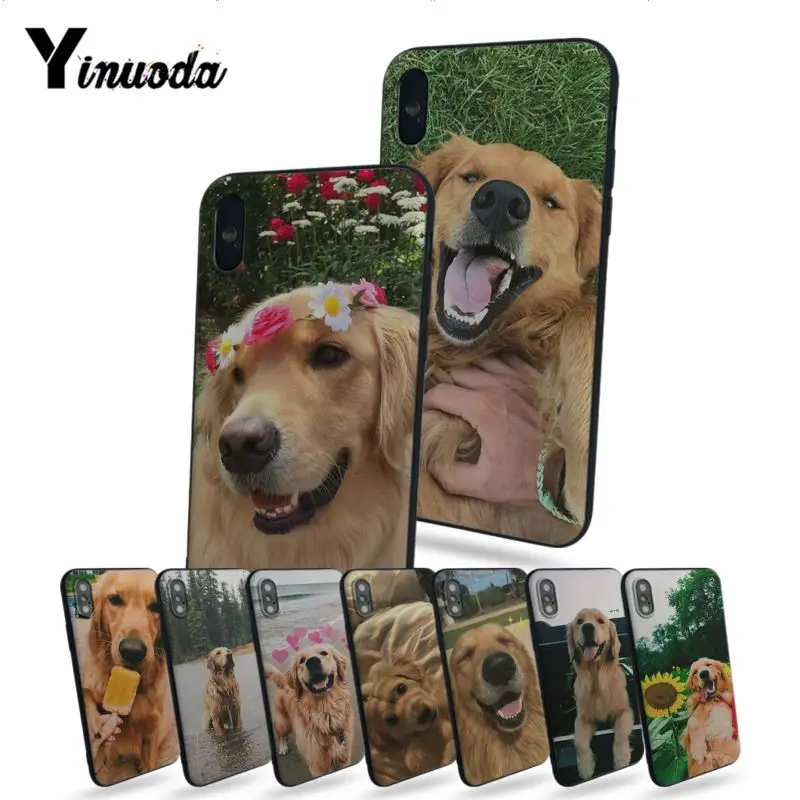 

Yinuoda Super cute Golden Retriever soft tpu Rubber Cell Phone Case For Apple iphone X 8 8plus 7 7plus 6s 6s Plus 5 5s 5c SE