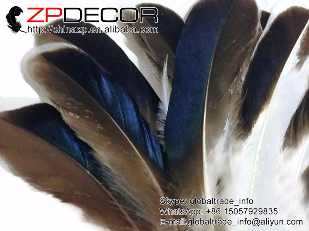 USA Real Feathers, 1 4 lb - Iridescent BLUE MIX Mallard Duck Wing Wholesale Feathers (bulk)