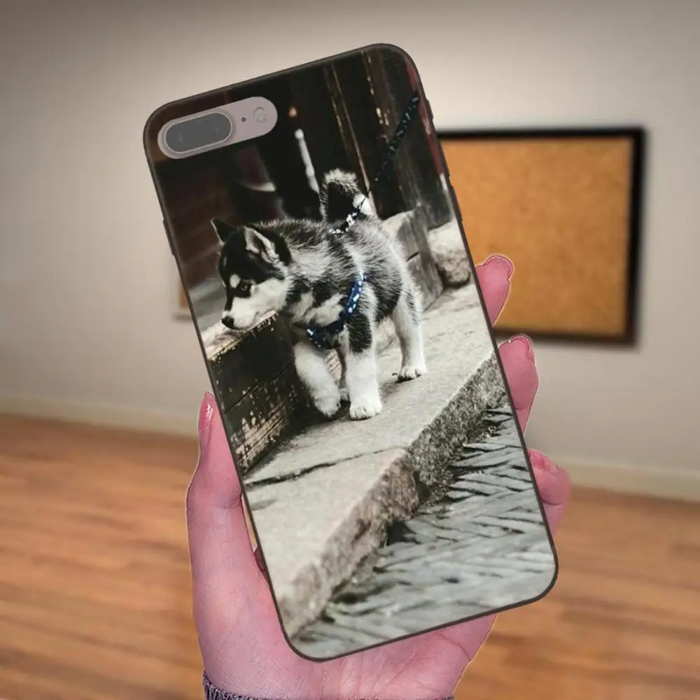 Diy рисунок ТПУ для Huawei Honor 5A 6A 6C 7A 7C 7X 8A 8C 8X 9 10 P8 P9 P10 P20 P30 Mini Lite Plus животное Хаски щенок