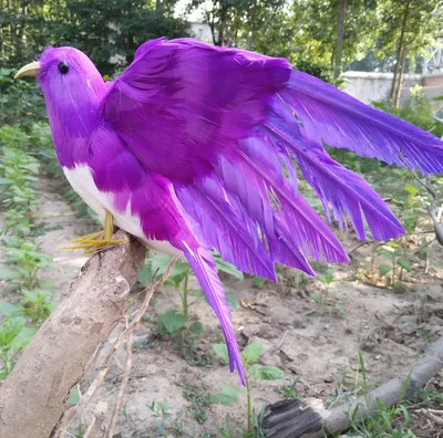 

22x28cm purple feathers artificial bird spreading wings feathers bird handicraft,prop,home garden decoration gift p2789