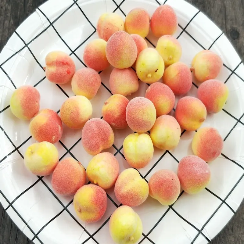 10 Pcs 2 Cm Simulation Peach Fruit Toys Kitchen Accessories