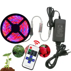 Светодиодный завод света с адаптером и RF контроллер полный спектр 5050 Фито лампы огни роста для растения гидропоники Растущая