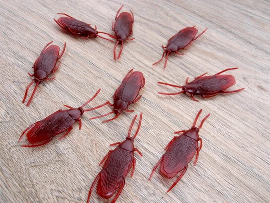 plastic toy cockroaches