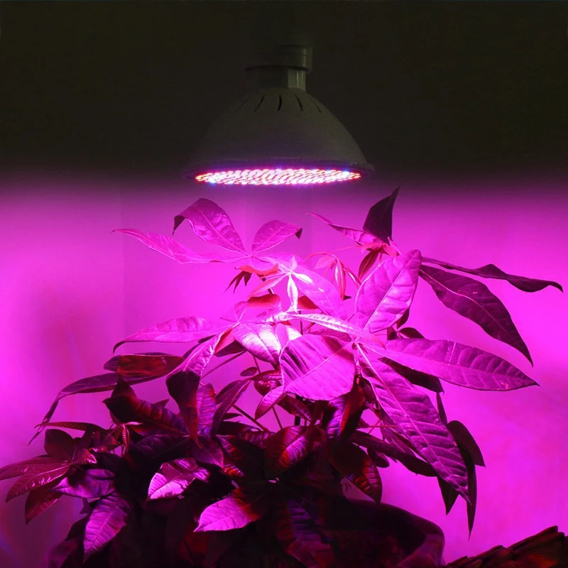 60 106 126 200 2Led Свет для выращивания гидропонное освещение с зажимом лампы растения