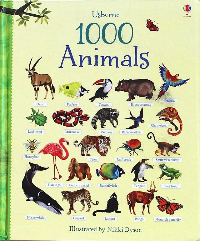 

Usborne 1000 Animals English words learning board picture book for children boys girls gifts Books early education