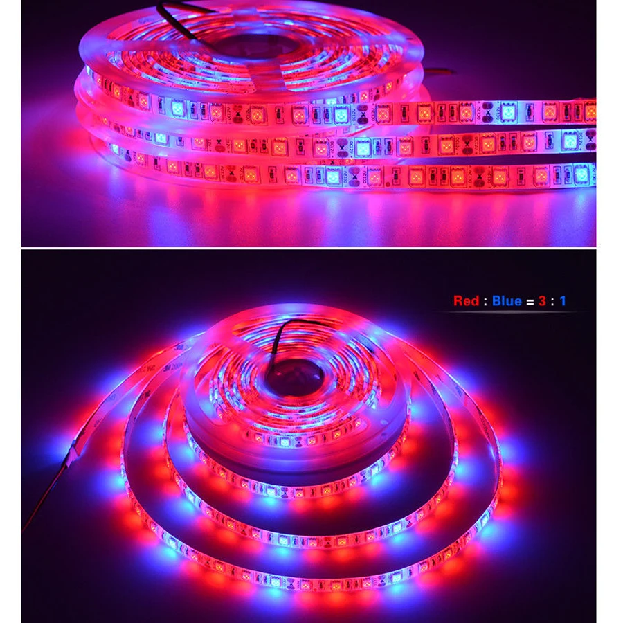 12 В постоянного тока Светодиодный светильник для выращивания 2 м 3 м 5 м светодиодный светильник гибкая лента 5050 светодиодный Фито лампы для роста растений для теплицы гидропоники
