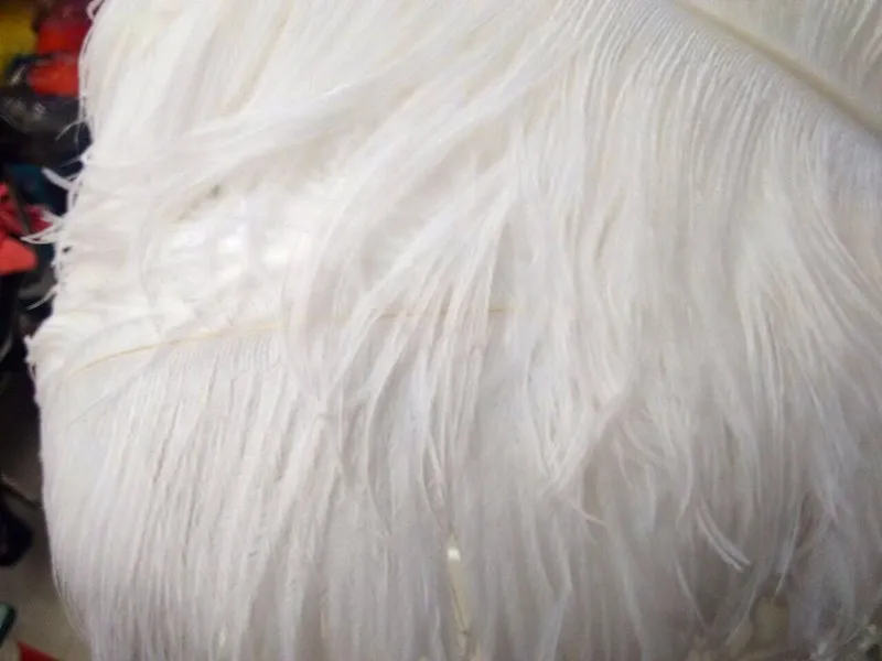 HTB1ugwpKpXXXXagXVXXq6xXFXXXA