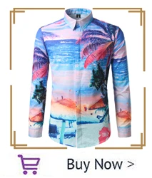 hawaiian_07